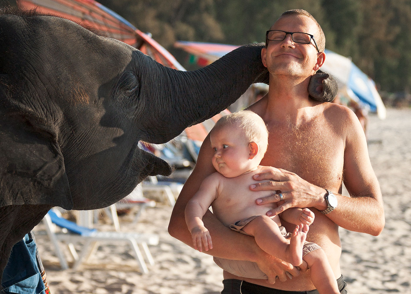 ima109796 – elefant kramar pappa och son