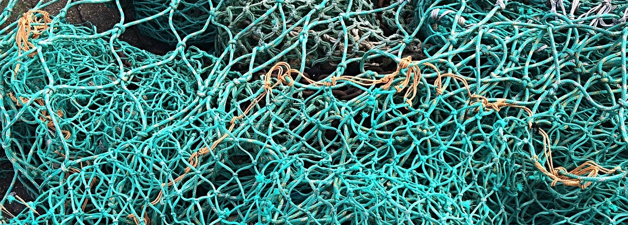 Biodegradable fishing nets made of proteins